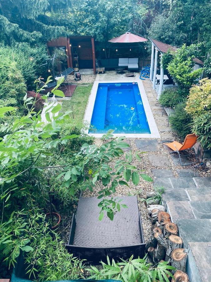 Modern House In With Pool Budapest